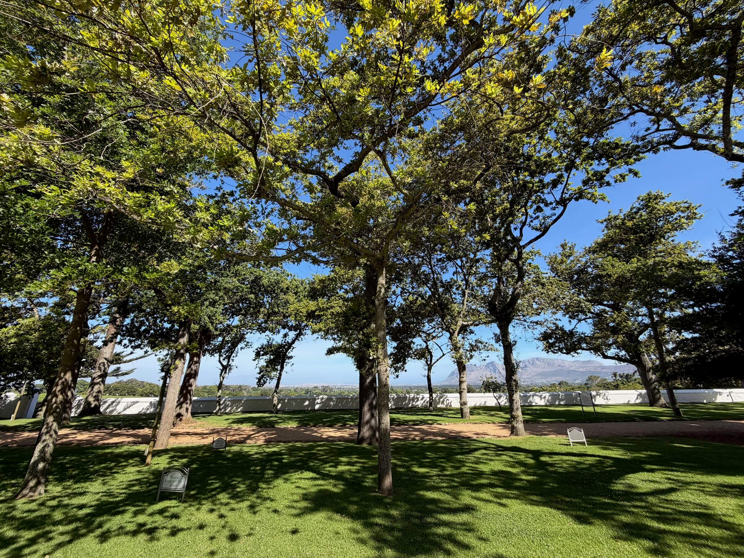 Constantia