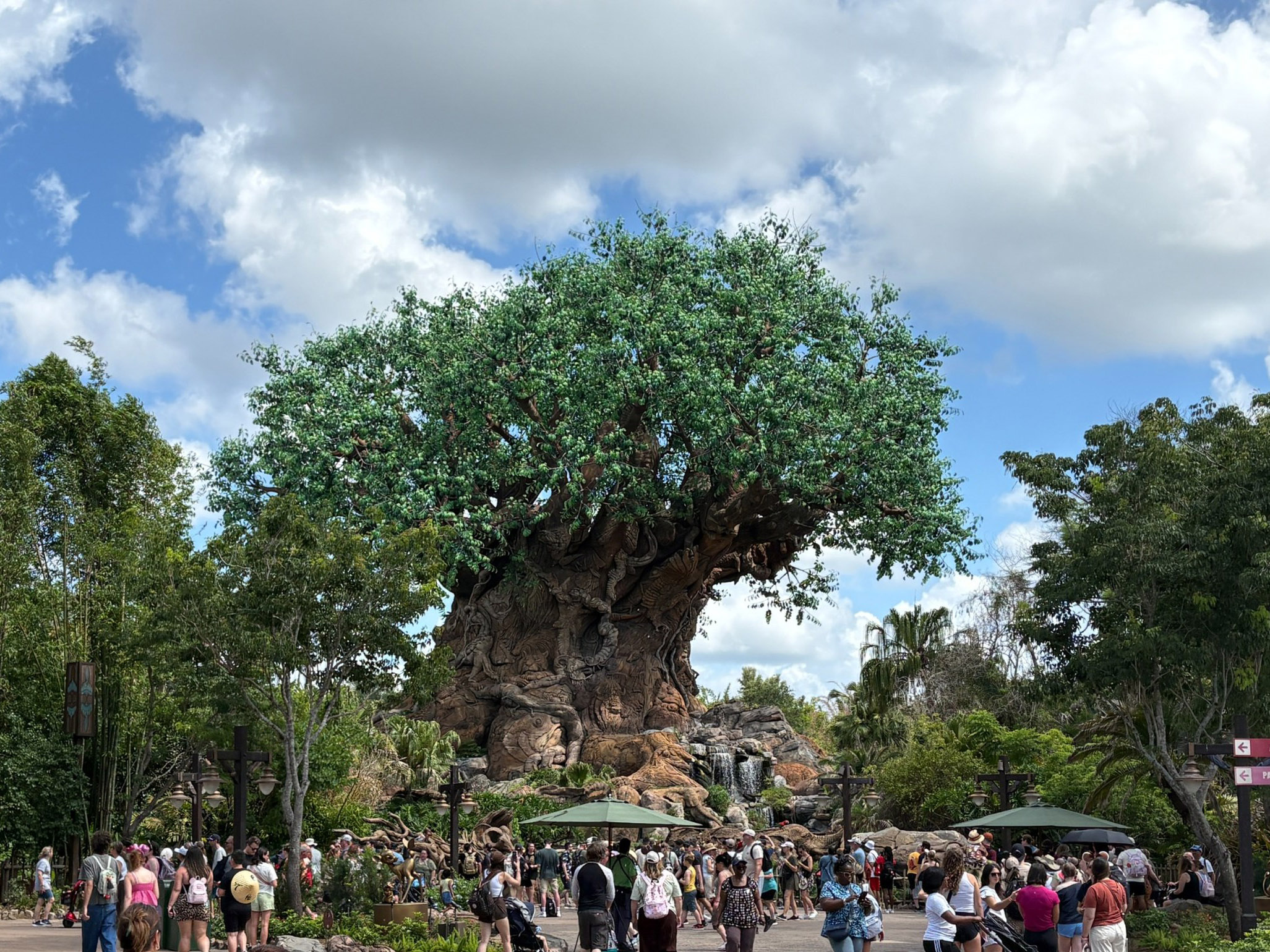 Animal Kingdom