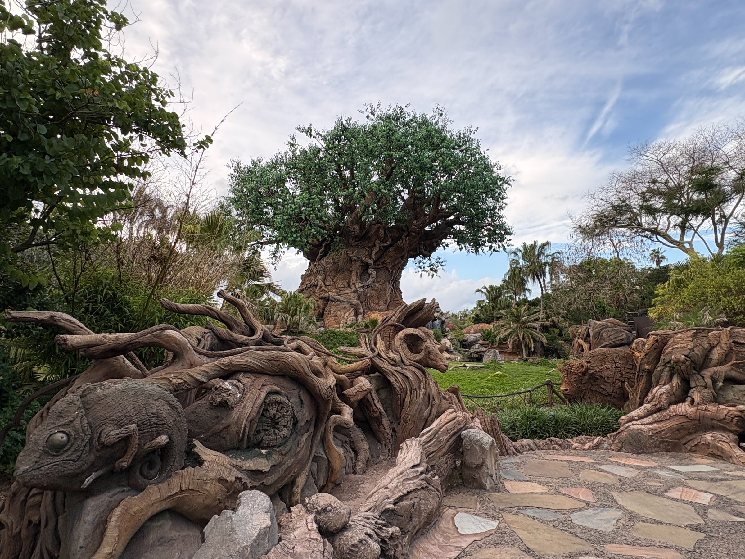 Animal Kingdom