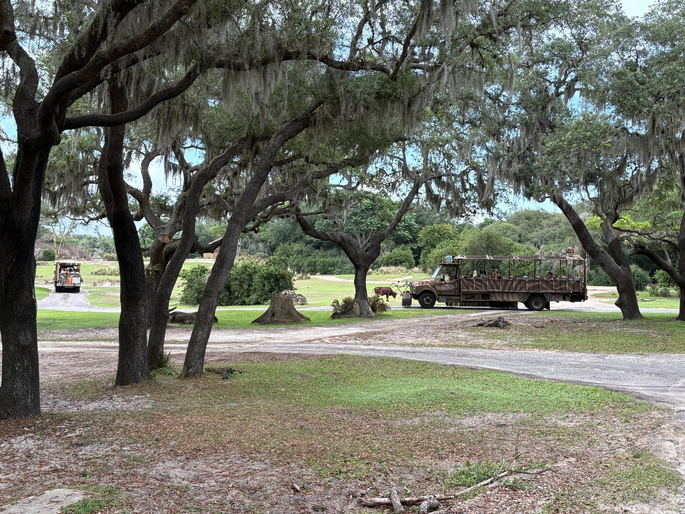 Animal Kingdom