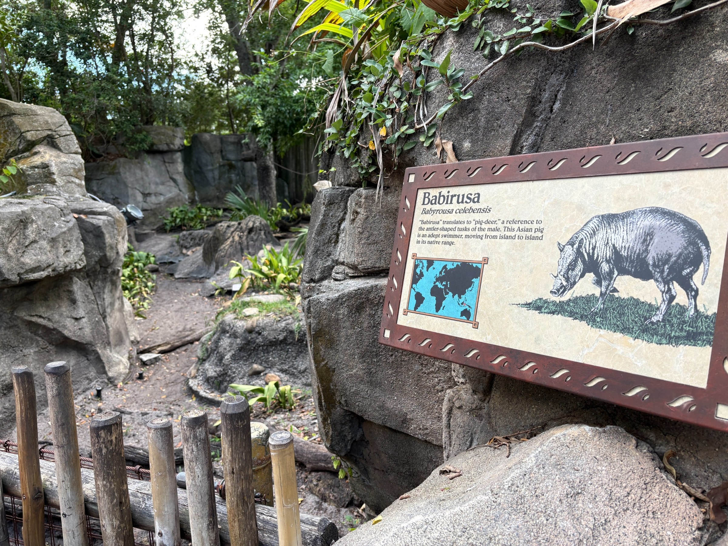Animal Kingdom