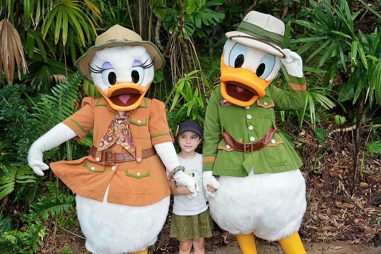 Animal Kingdom