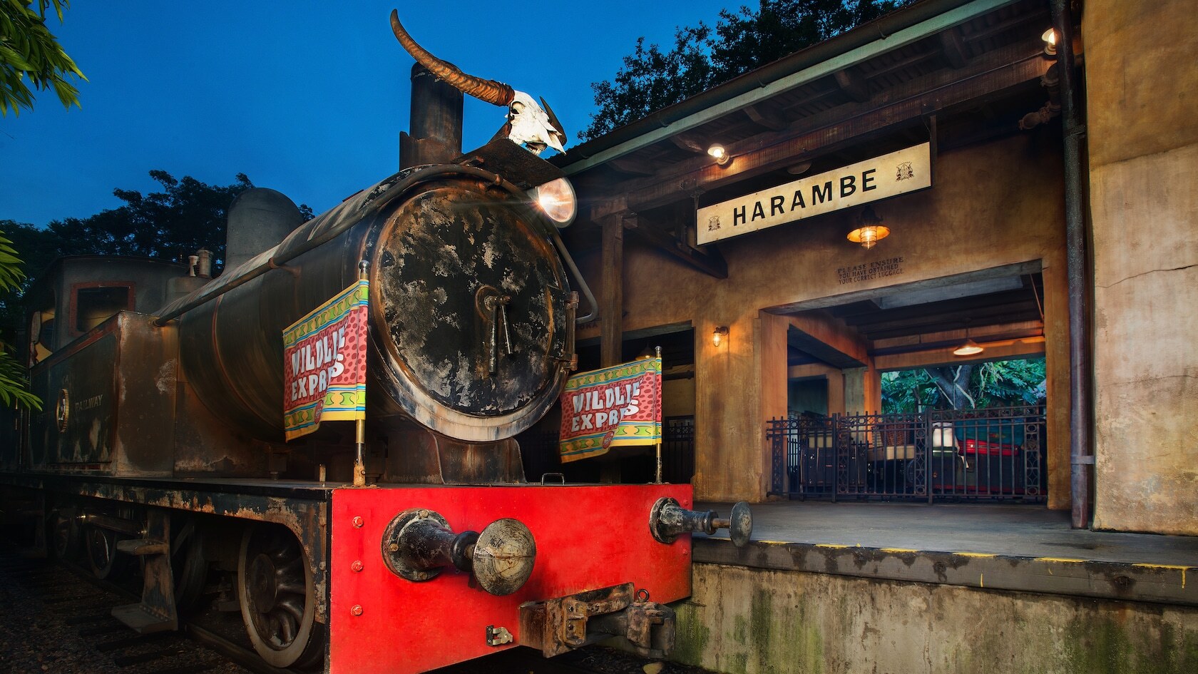 Animal Kingdom