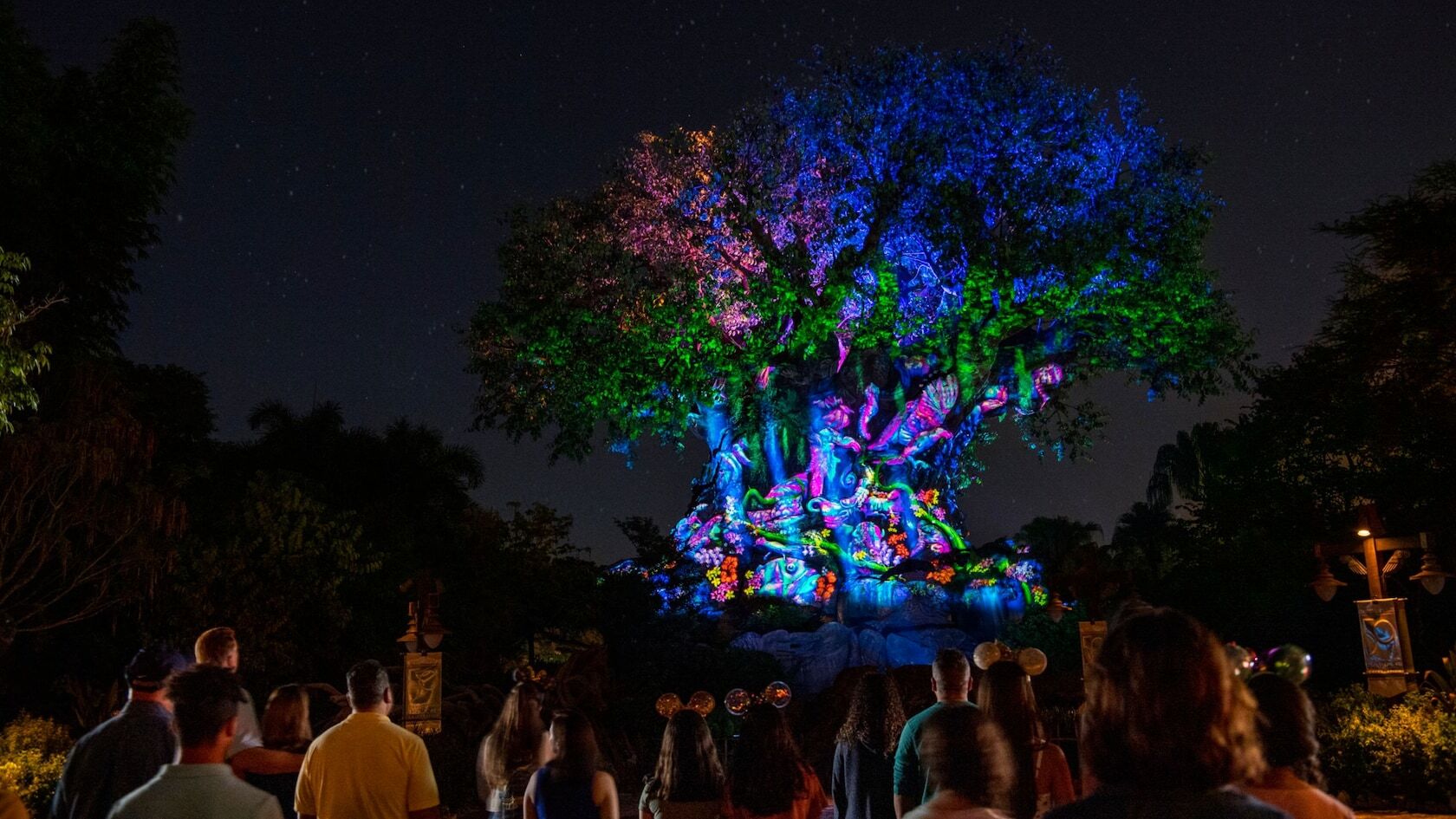 Animal Kingdom