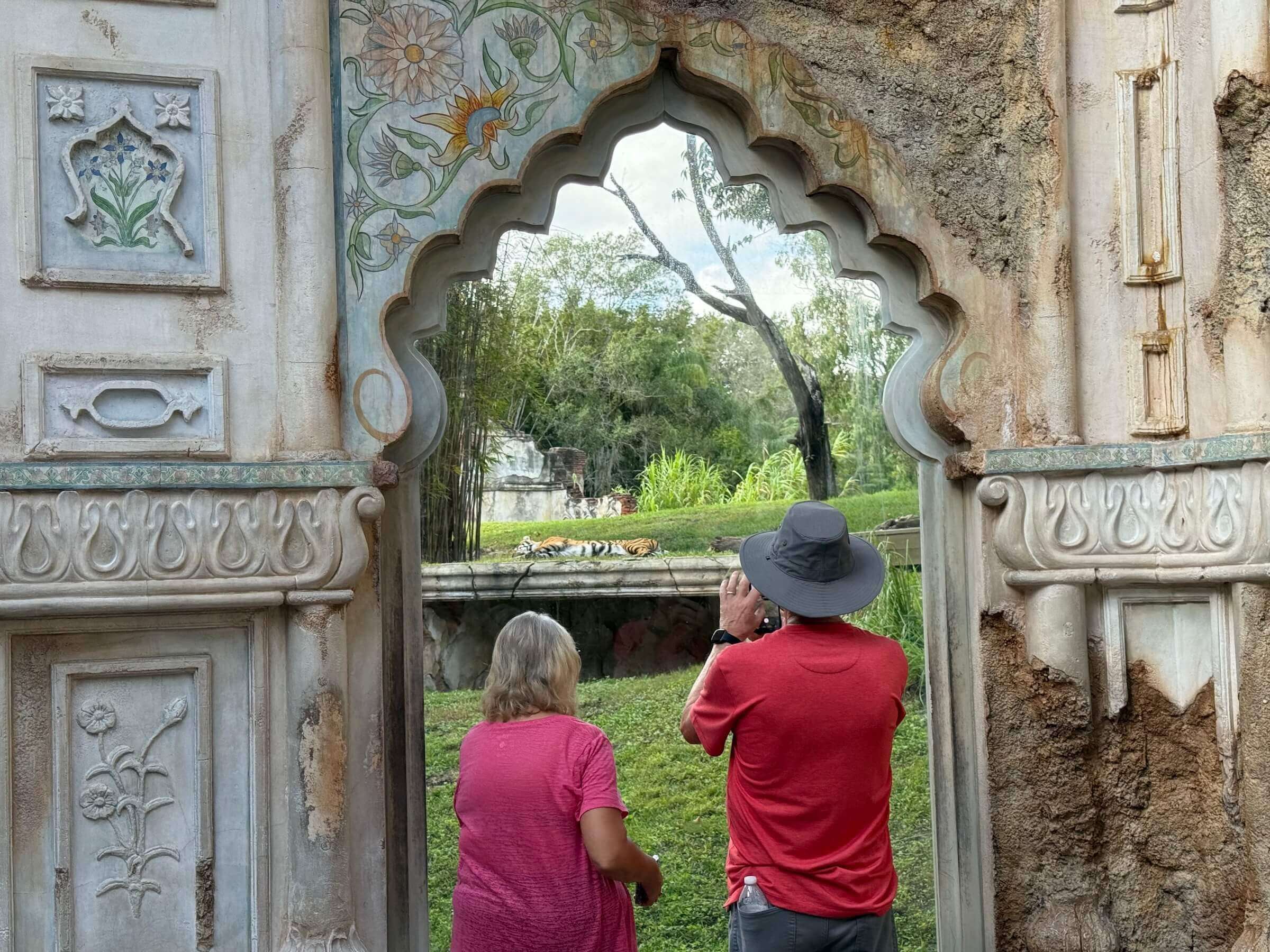 Animal Kingdom