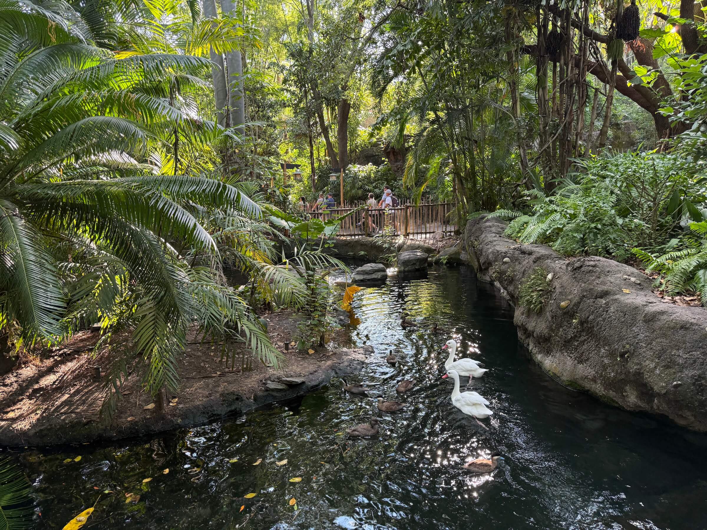 Animal Kingdom