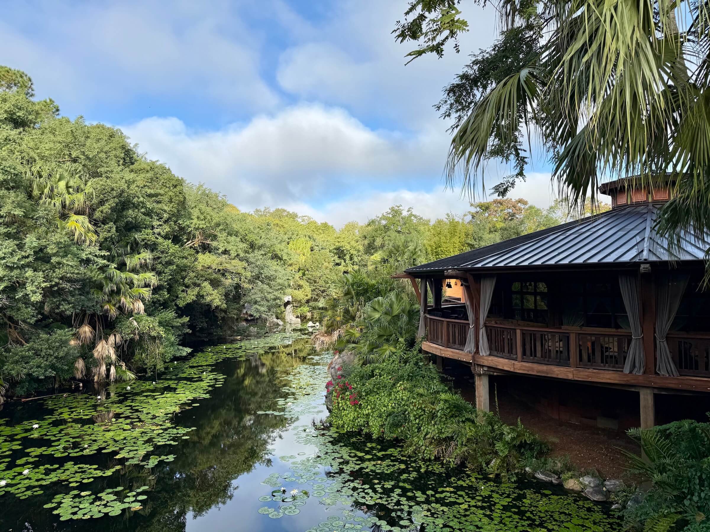 Animal Kingdom