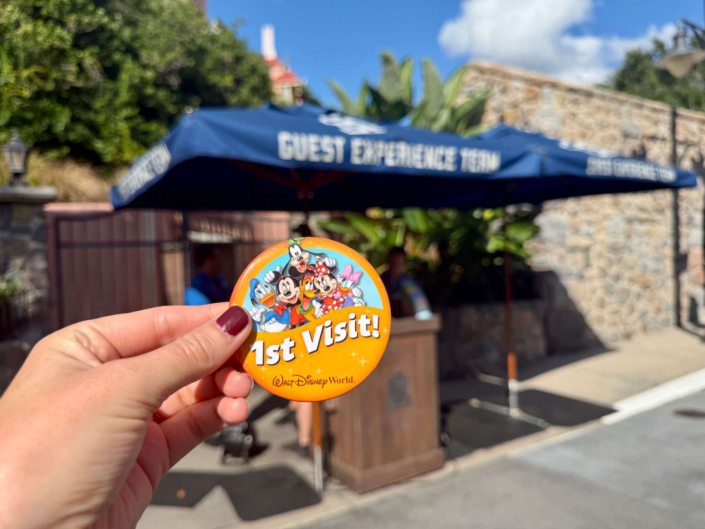 Hollywood Studios