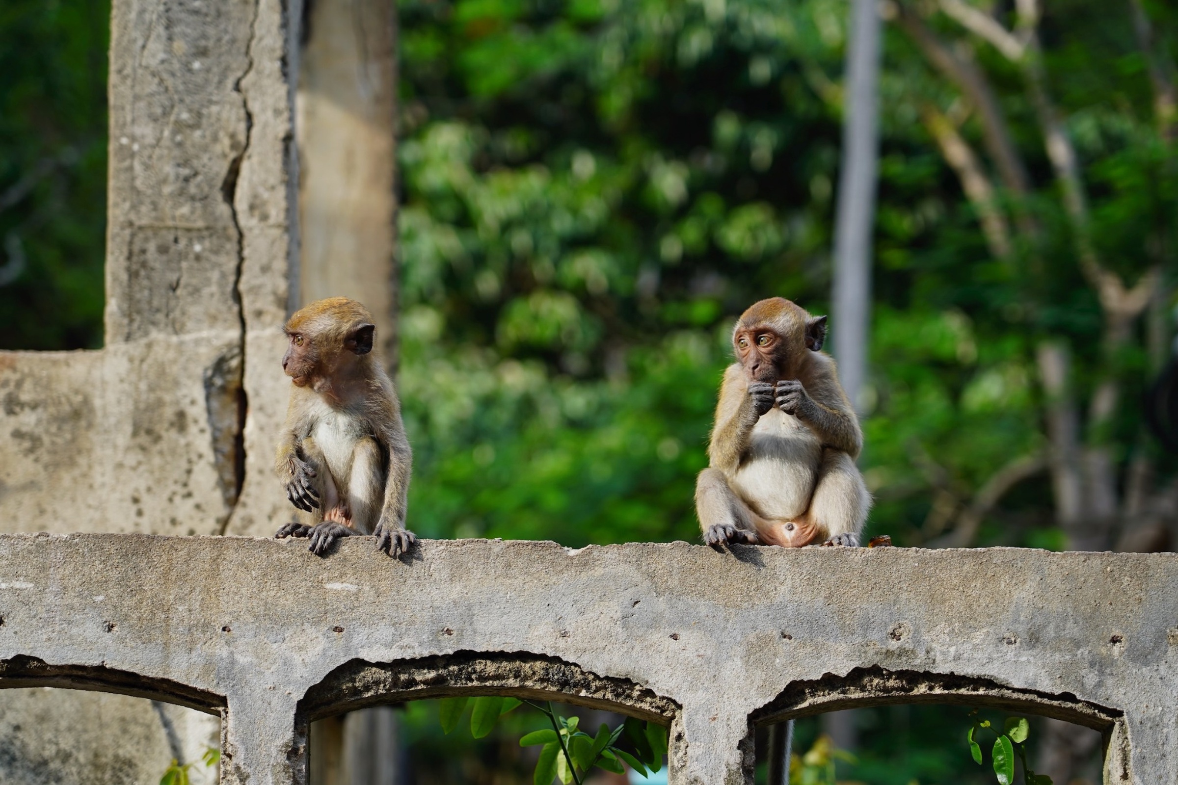 Krabi