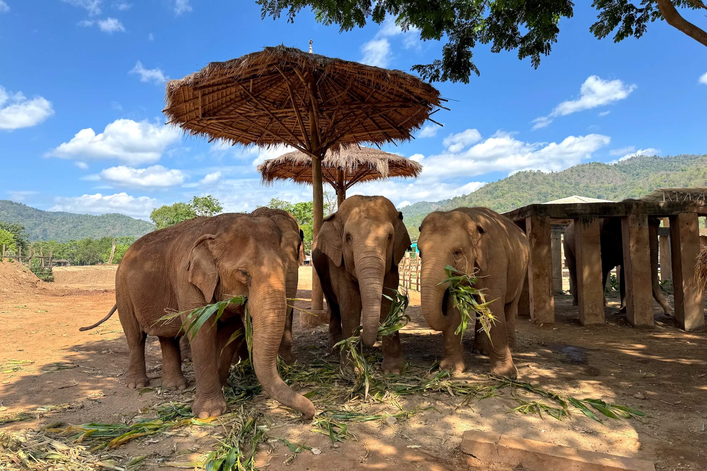 Chiang Mai